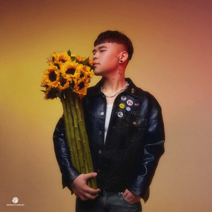 2022年一级A片免费观看
